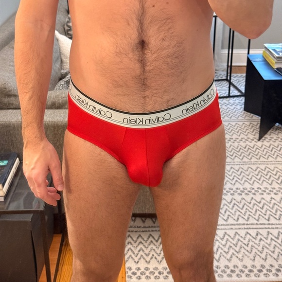 NWT Men’s Calvin Klein microfiber briefs, size medium - Picture 2 of 3